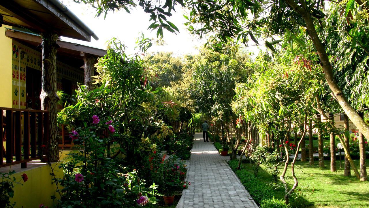 Rhino Land Jungle Lodge Sauraha Dış mekan fotoğraf