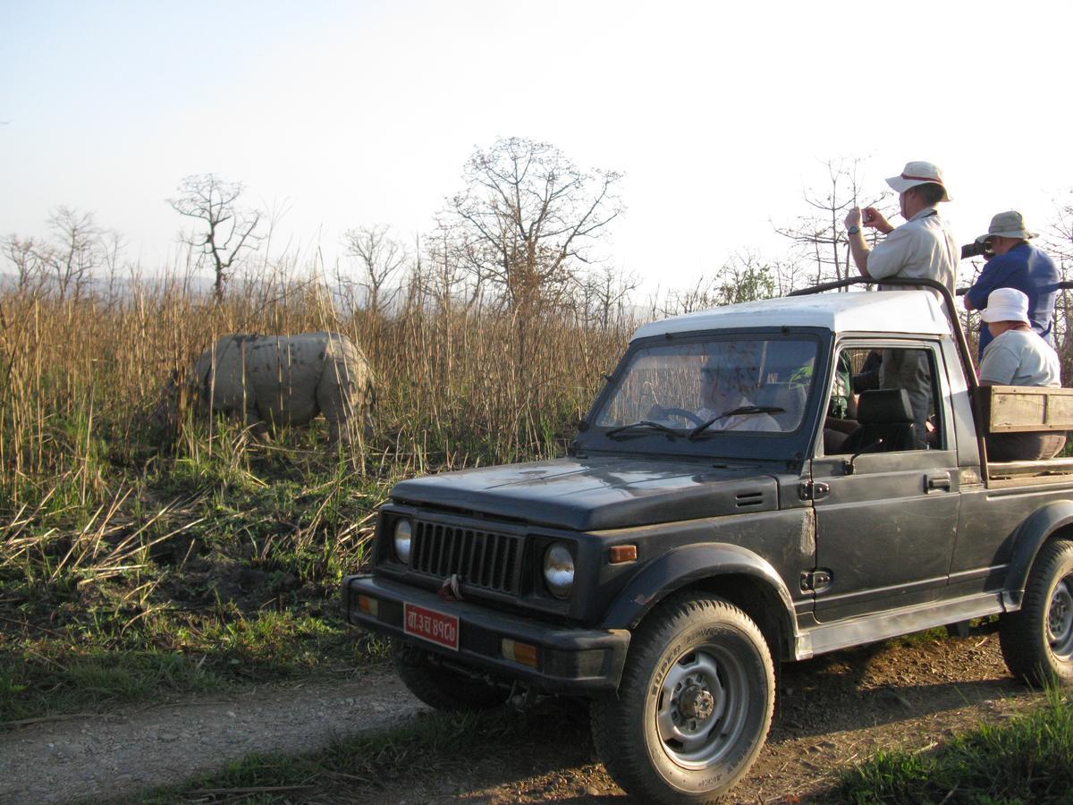 Rhino Land Jungle Lodge Sauraha Dış mekan fotoğraf
