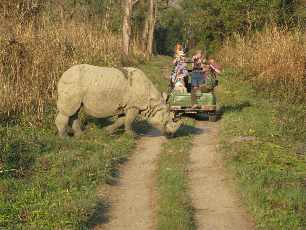 Rhino Land Jungle Lodge Sauraha Dış mekan fotoğraf