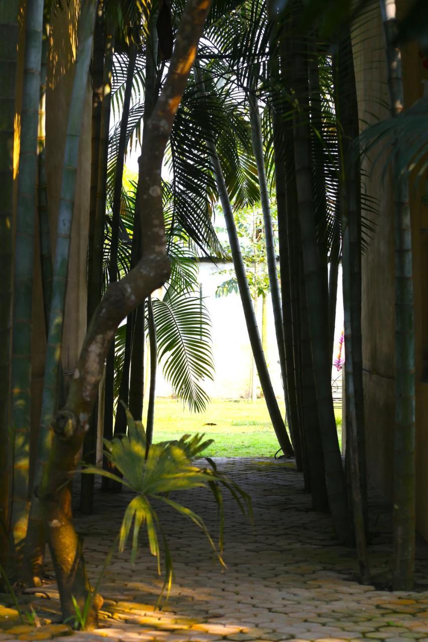 Rhino Land Jungle Lodge Sauraha Dış mekan fotoğraf